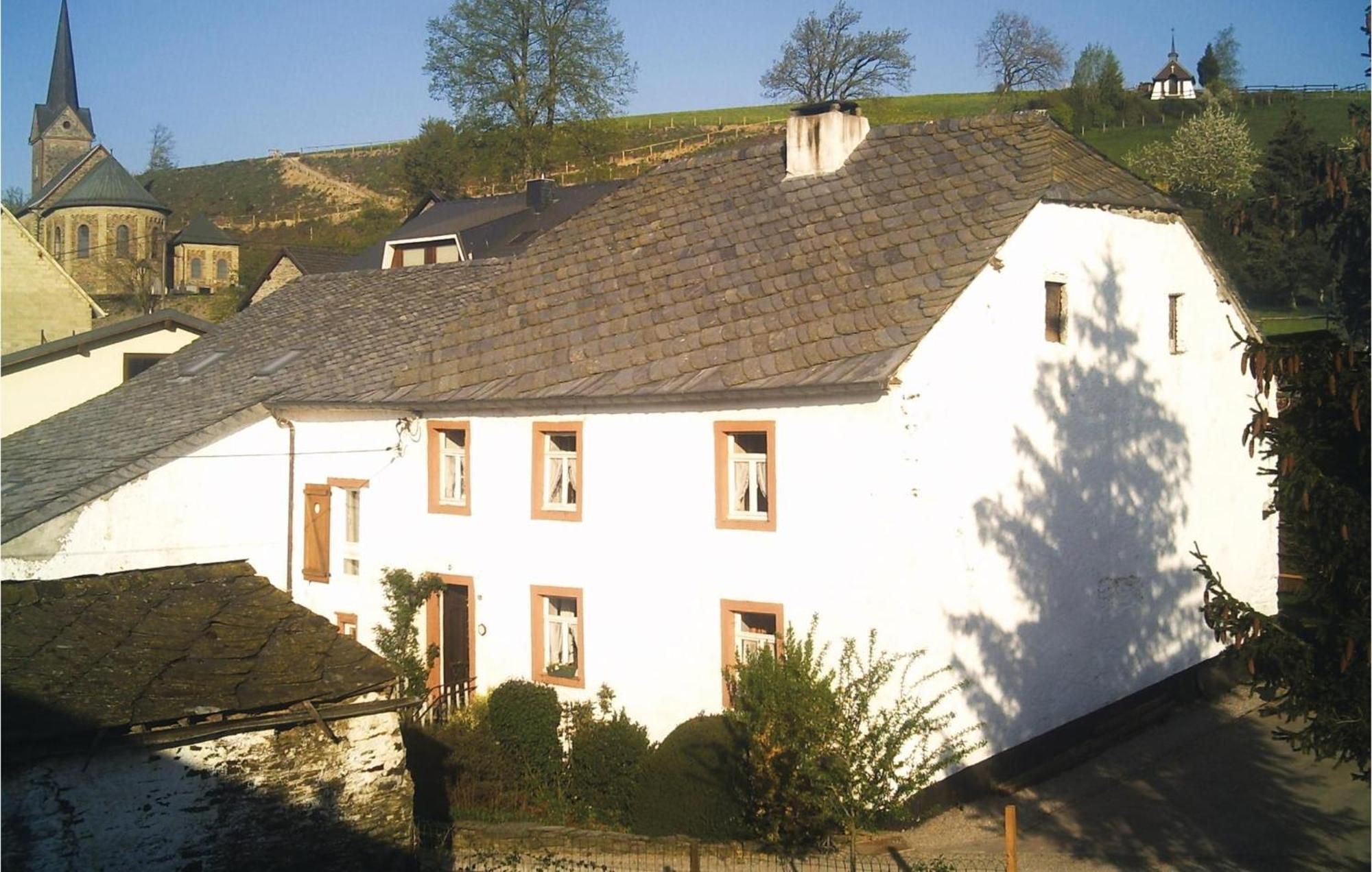 Haus Marx Villa Burg Reuland Exteriör bild